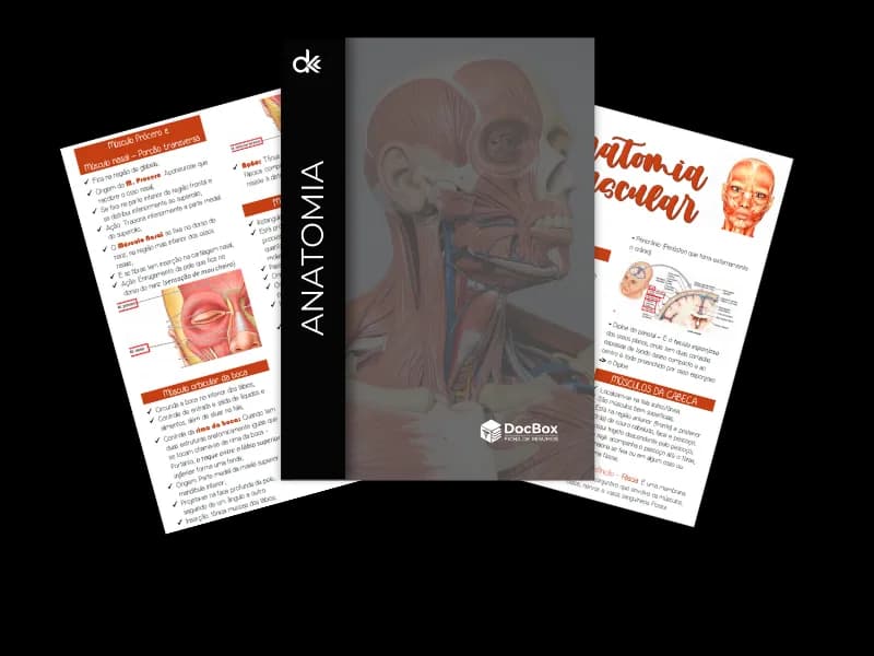 Capa do resumo de Anatomia